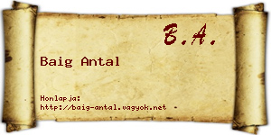 Baig Antal névjegykártya